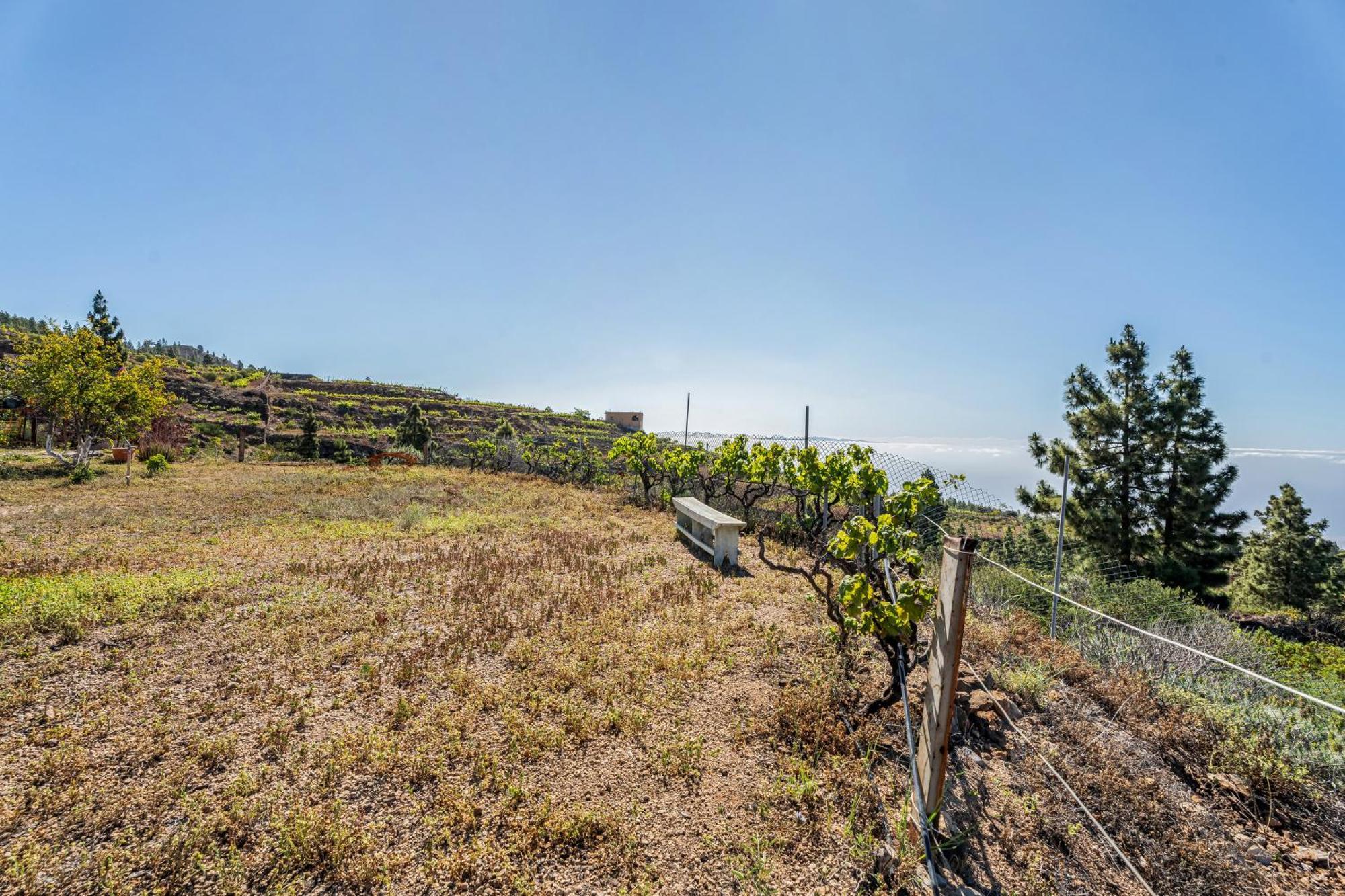 Vila Land Of Dreams 2 Granadilla De Abona Exteriér fotografie